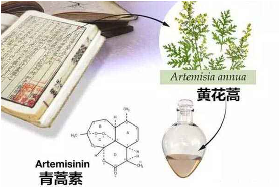 易游平台客服,易游（中国）：向中医药看齐，与世界共享中医药文化(图1)